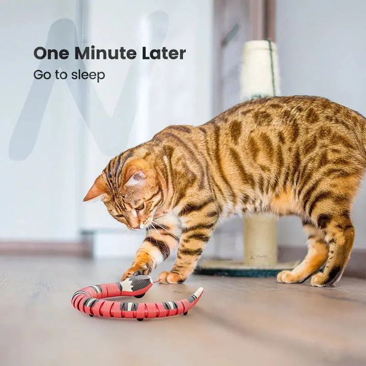 Smart Sensing Snake Cat Toys Electric Interactive Toys for Cats USB Charging Cat Accessories for Pet Dogs Game Play Toy ROSLIN'SHOP Seu Estilo Nossa Força