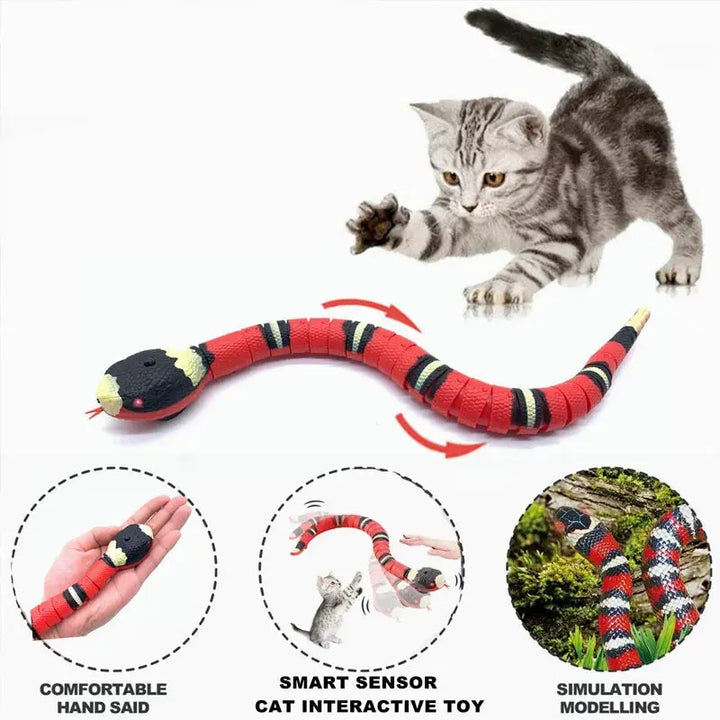 Smart Sensing Snake Cat Toys Electric Interactive Toys for Cats USB Charging Cat Accessories for Pet Dogs Game Play Toy ROSLIN'SHOP Seu Estilo Nossa Força