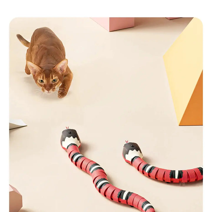 Smart Sensing Snake Cat Toys Electric Interactive Toys for Cats USB Charging Cat Accessories for Pet Dogs Game Play Toy ROSLIN'SHOP Seu Estilo Nossa Força