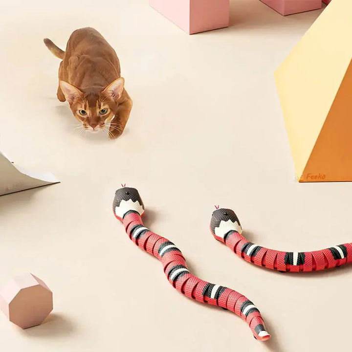 Smart Sensing Snake Cat Toys Electric Interactive Toys for Cats USB Charging Cat Accessories for Pet Dogs Game Play Toy ROSLIN'SHOP Seu Estilo Nossa Força