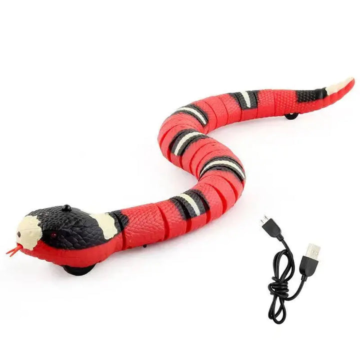 Smart Sensing Snake Cat Toys Electric Interactive Toys for Cats USB Charging Cat Accessories for Pet Dogs Game Play Toy ROSLIN'SHOP Seu Estilo Nossa Força