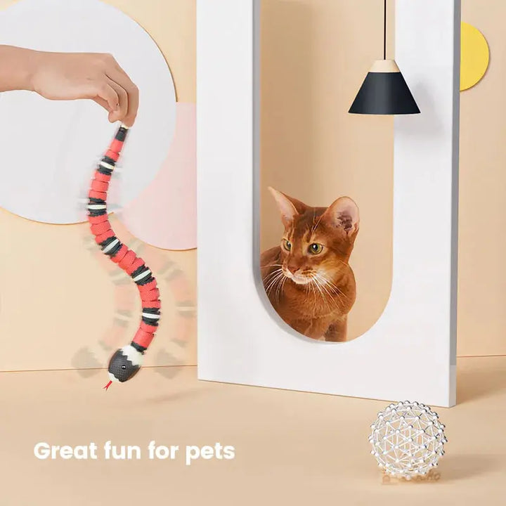 Smart Sensing Snake Cat Toys Electric Interactive Toys for Cats USB Charging Cat Accessories for Pet Dogs Game Play Toy ROSLIN'SHOP Seu Estilo Nossa Força