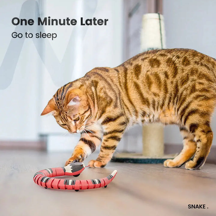 Smart Sensing Snake Cat Toys Electric Interactive Toys for Cats USB Charging Cat Accessories for Pet Dogs Game Play Toy ROSLIN'SHOP Seu Estilo Nossa Força